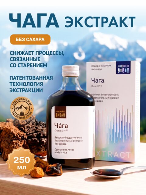 Чага березовая экстракт жидкий 250мл