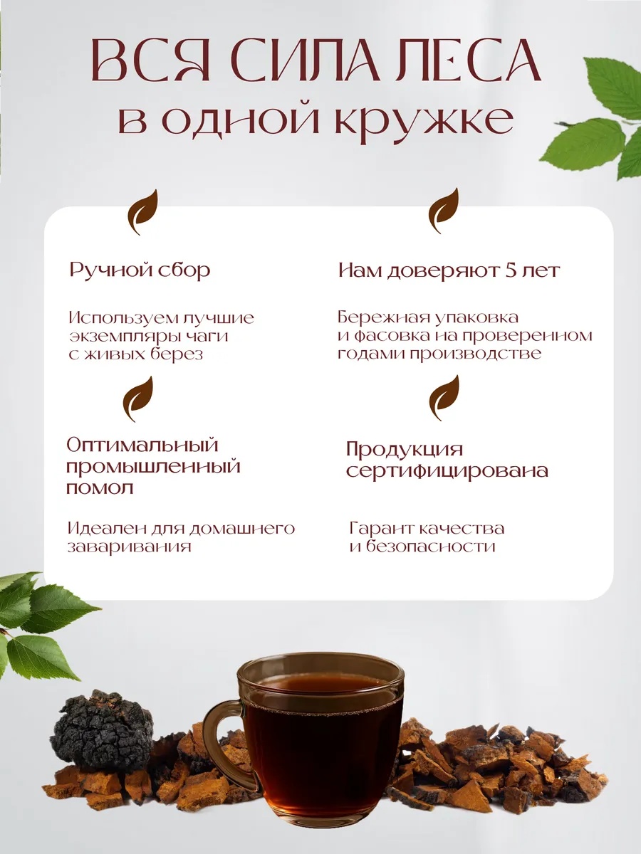 Чага сухая измельченная (2-8мм) 200г. Дойпак. — изображение 3
